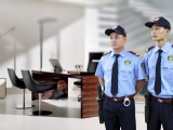 Những Loại Hình Bảo Vệ Phổ Biến